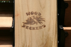 wood deckers 4 copy